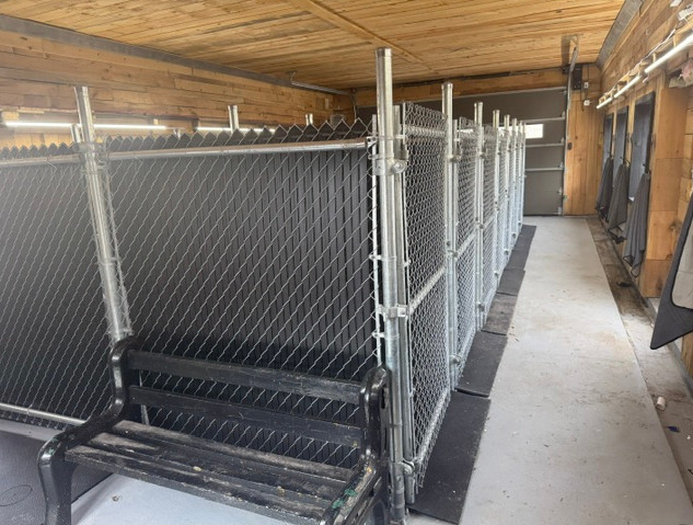 pension-garderie-centre-canin-st-placide