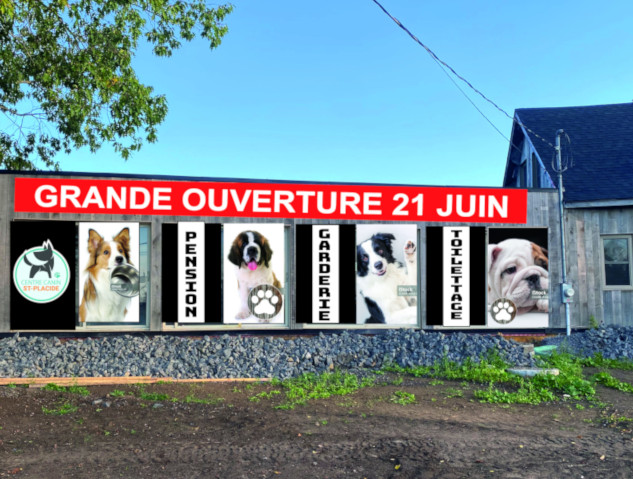 pension-garderie-centre-canin-st-placide