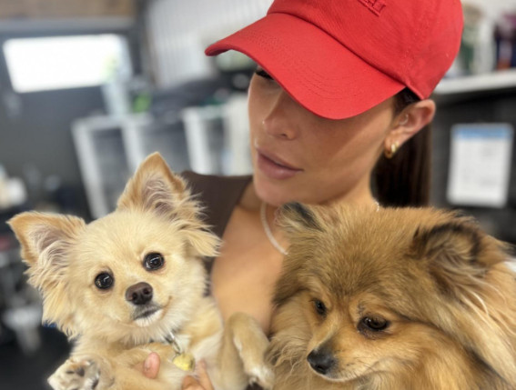 pension-garderie-centre-canin-st-placide