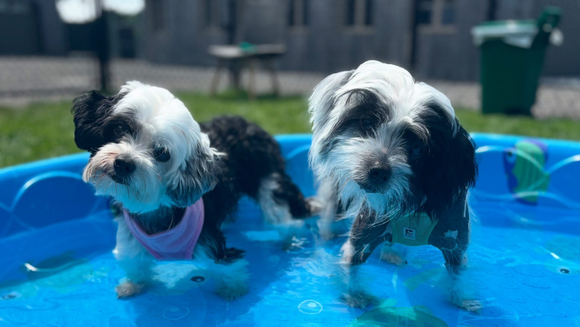 6CA7C01C-74B8-449D-9BB8-0D30238DA69E