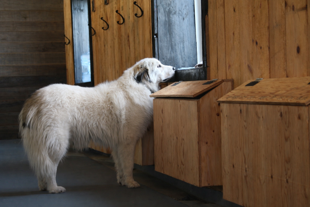 9ac4d560-dd72-4875-a037-bd89e7ea9799