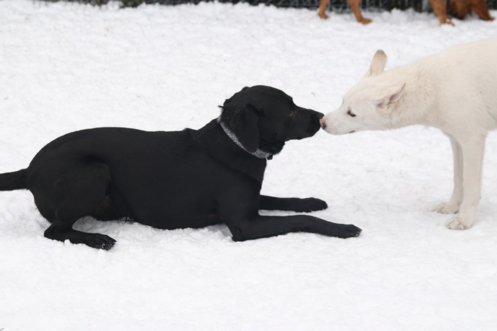 f6d8f473-4522-4ee3-b07c-dad0354ea329